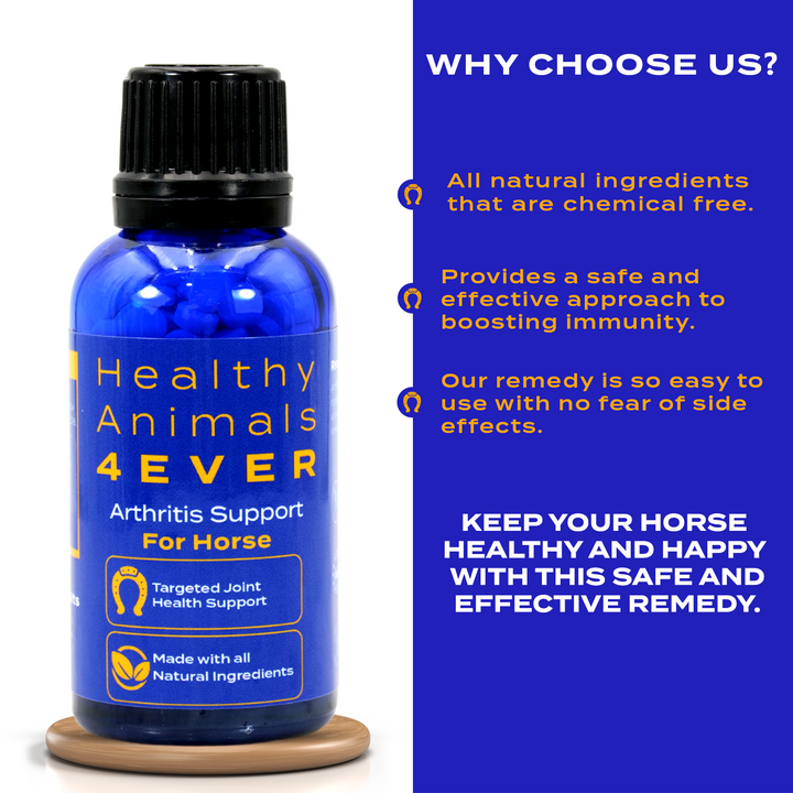 HORSE ARTHRITIS PRODUCT Triple Pack- Save 30%