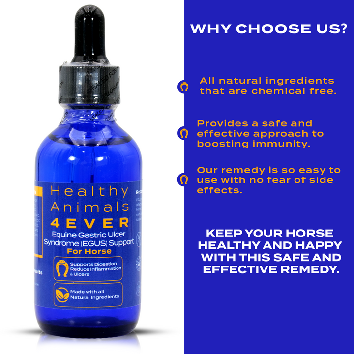 HORSE EQUINE GASTRIC ULCER SYNDROME SUPPORT (Liquid)