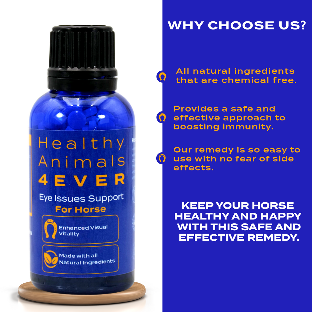 HORSE EYE HEALTH SUPPORT   Triple Pack- Save 30%