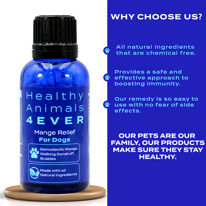 Mange Relief for Dogs - Treatment for Itchiness, Scabs, & Hair Loss Caused by Mites