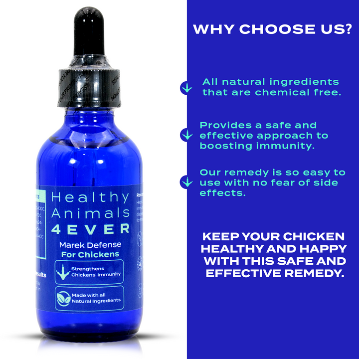 HEALTHYANIMALS4EVER ALL-NATURAL CHICKEN IMMUNITY SUPPORT FOR MAREK’S DISEASE (Liquid) Six Pack- Save 50%