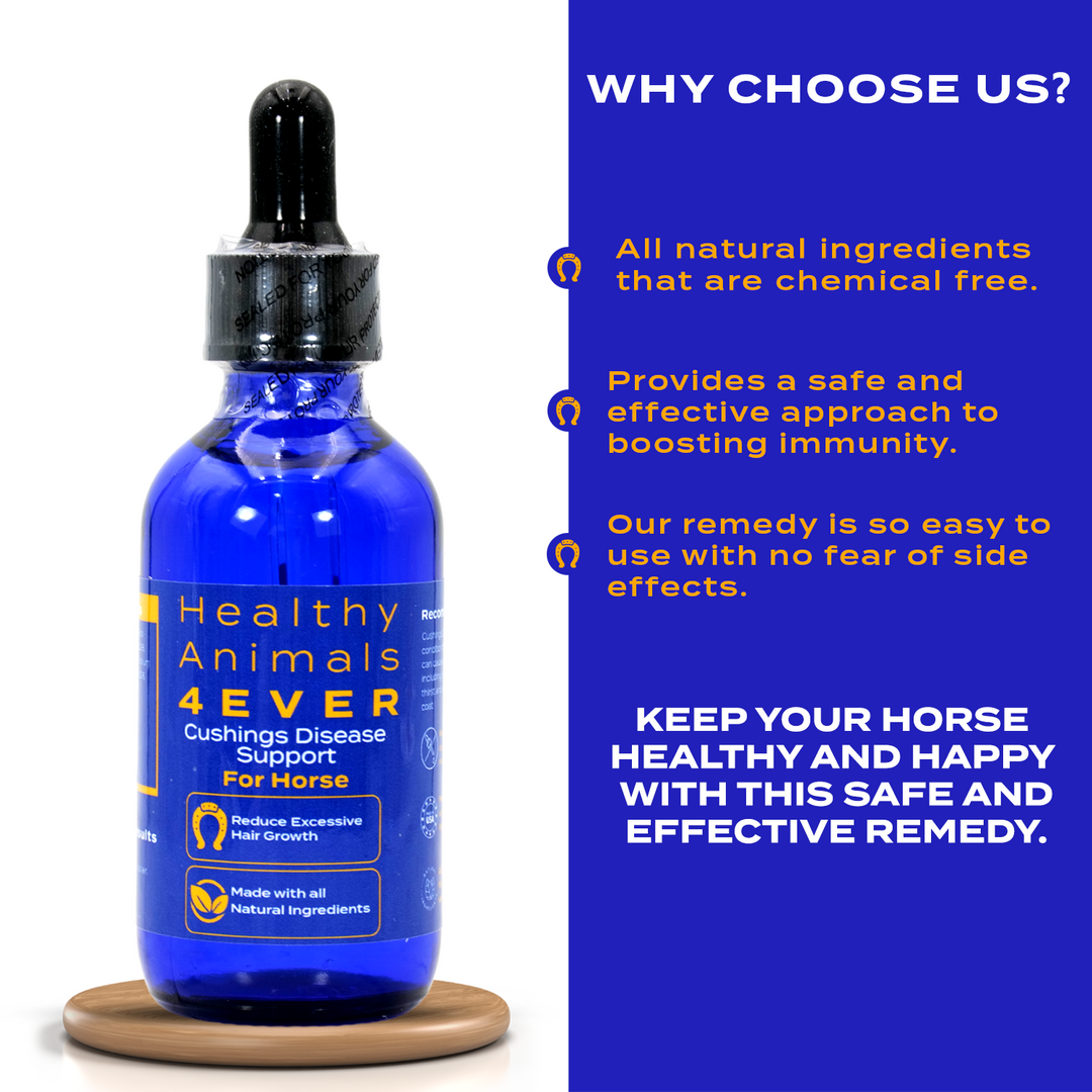 HORSE CUSHING DISEASE SUPPORT (Liquid)Triple Pack- Save 30%