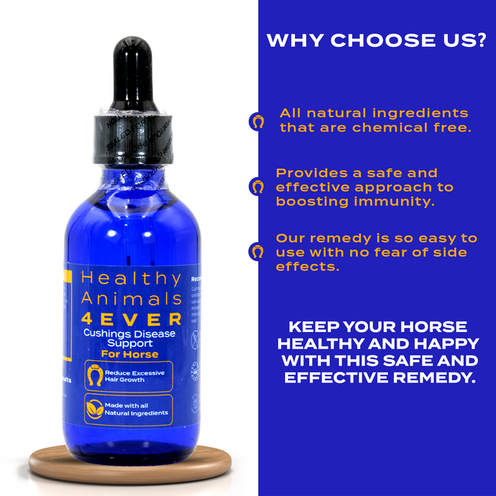 HORSE CUSHING DISEASE SUPPORT (Liquid)Six Pack- Save 50%