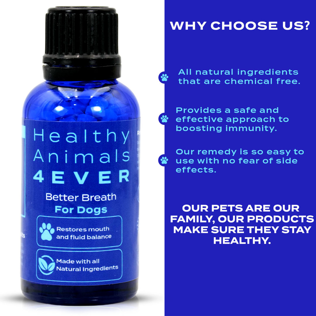 Better Breath - Dogs