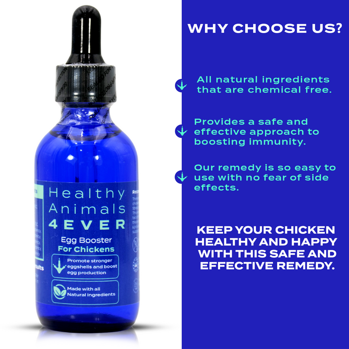 HEALTHYANIMALS4EVER ALL-NATURAL CHICKEN EGG BOOSTER (Liquid)