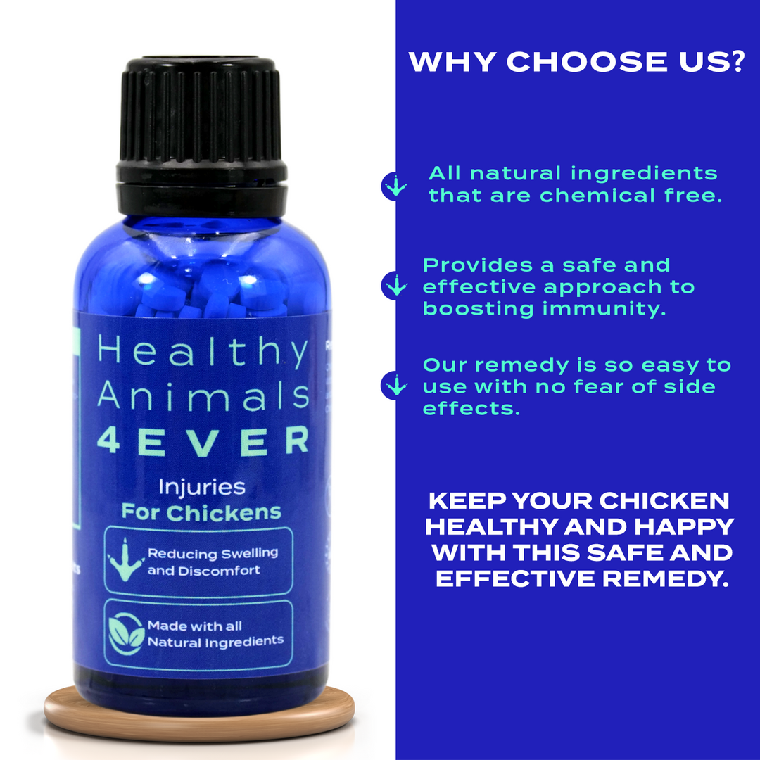 HEALTHYANIMALS4EVER ALL-NATURAL CHICKEN INJURY SUPPORT