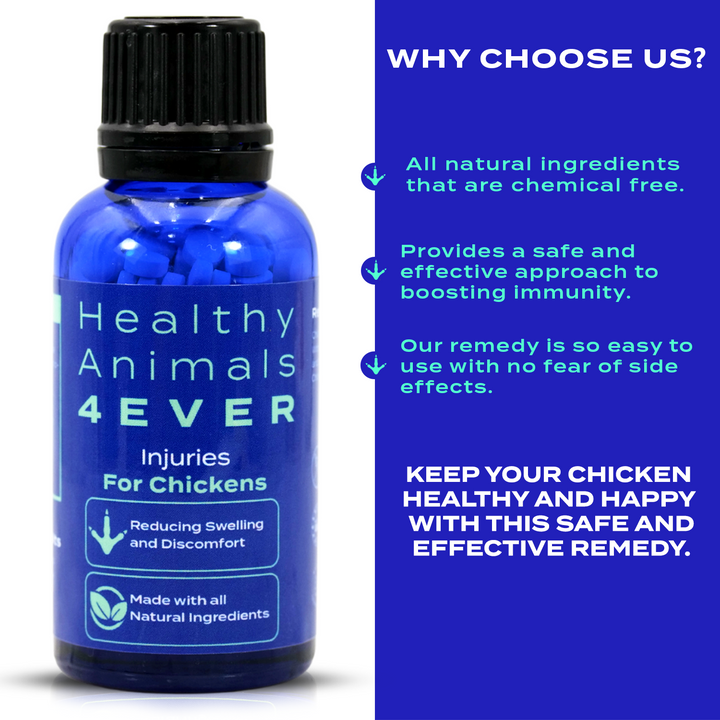 HEALTHYANIMALS4EVER ALL-NATURAL CHICKEN INJURY SUPPORT