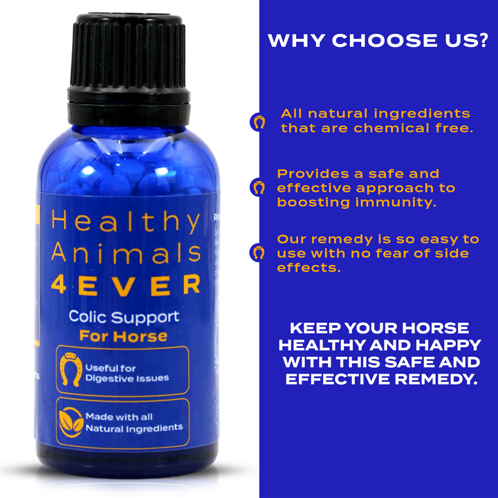 HORSE COLIC SUPPORT