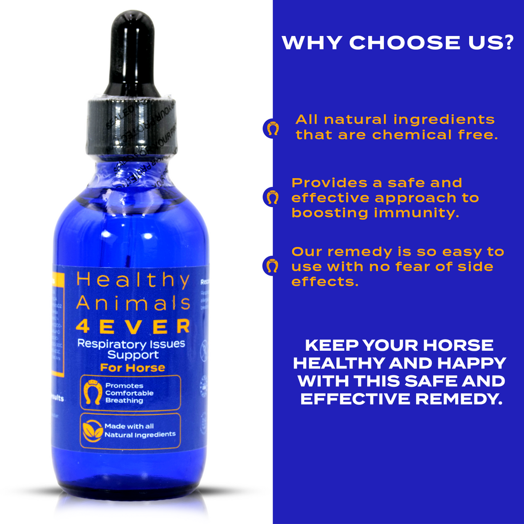 HORSE RESPIRATORY ISSUES SUPPORT (Liquid)