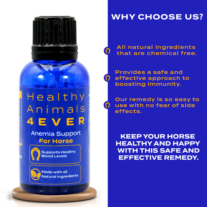 HORSE ANEMIA SUPPORT Six Pack- Save 50%