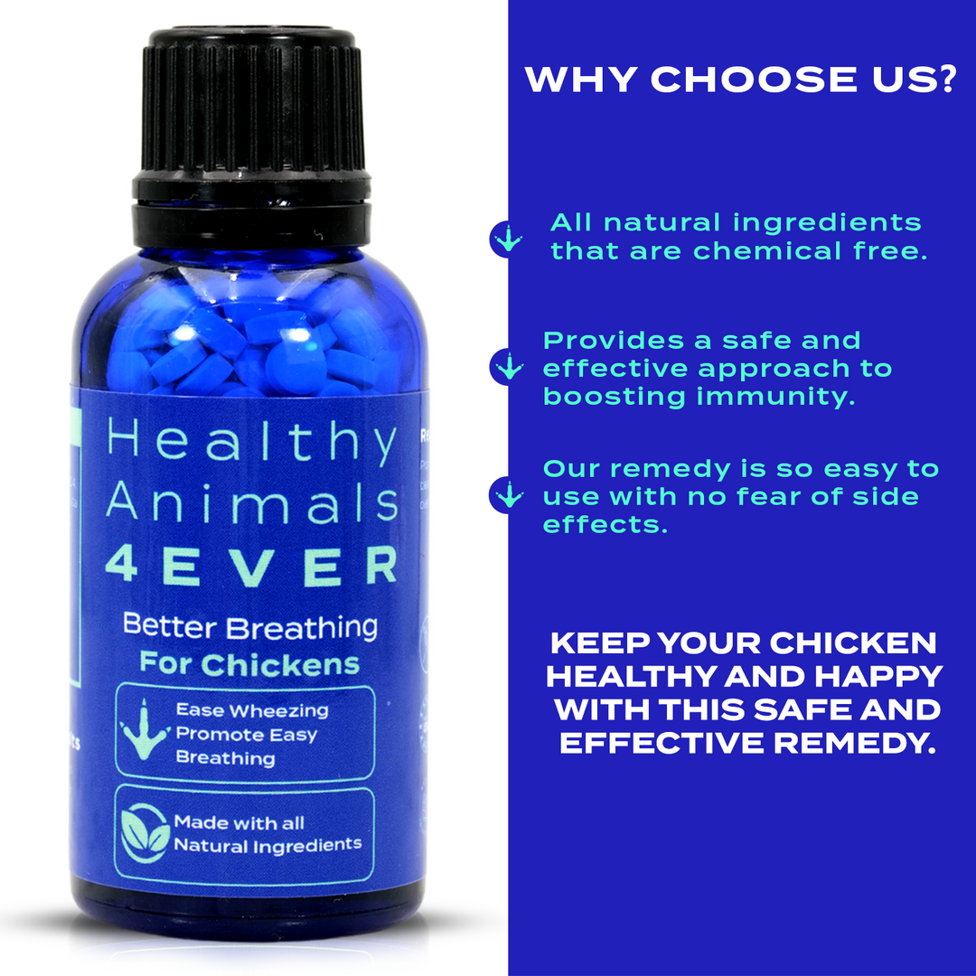 HEALTHYANIMALS4EVER ALL-NATURAL CHICKEN RESPIRATORY SUPPORT Six Pack- Save 50%