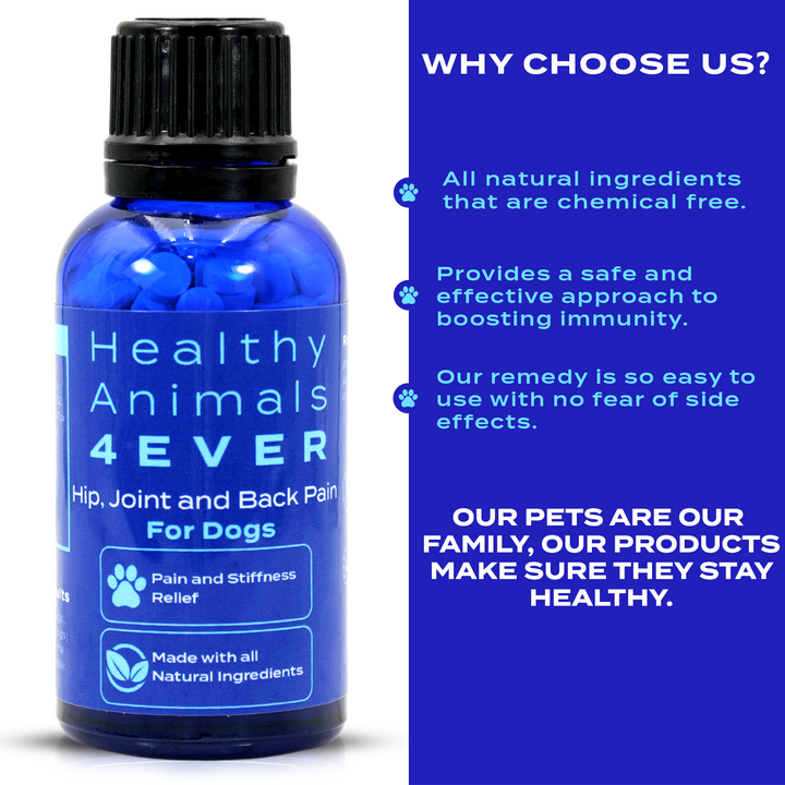 Hip, Joint and Back Pain Relief - Dogs