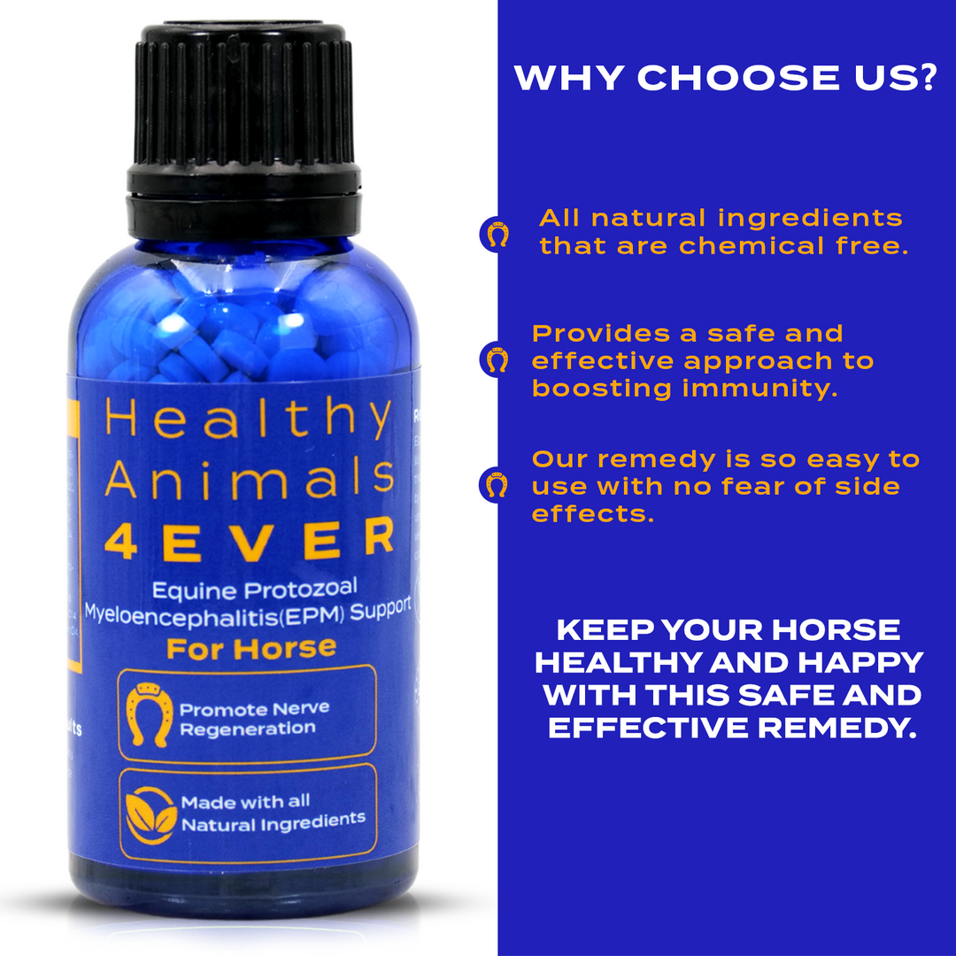 EQUINE PROTOZOAL MYELOENCEPHALITIS (EPM) SUPPORT