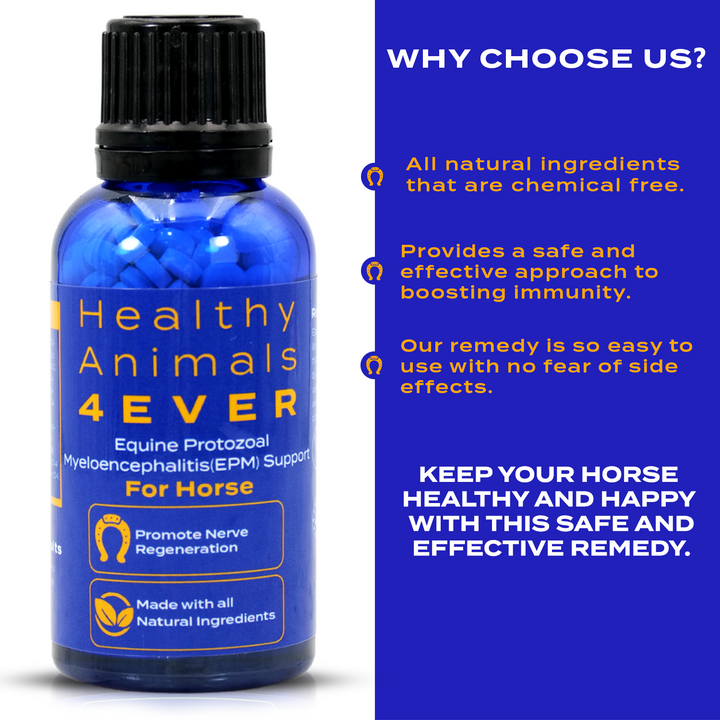 EQUINE PROTOZOAL MYELOENCEPHALITIS (EPM) SUPPORT