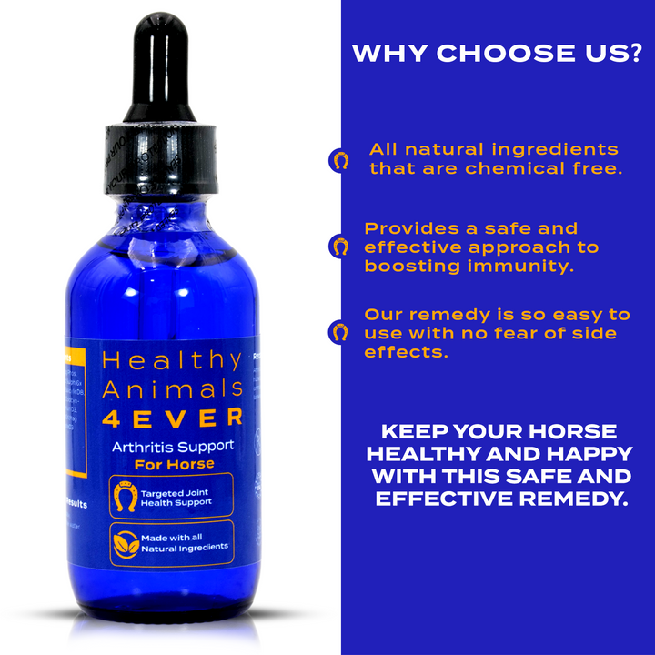 HORSE ARTHRITIS SUPPORT(Liquid)