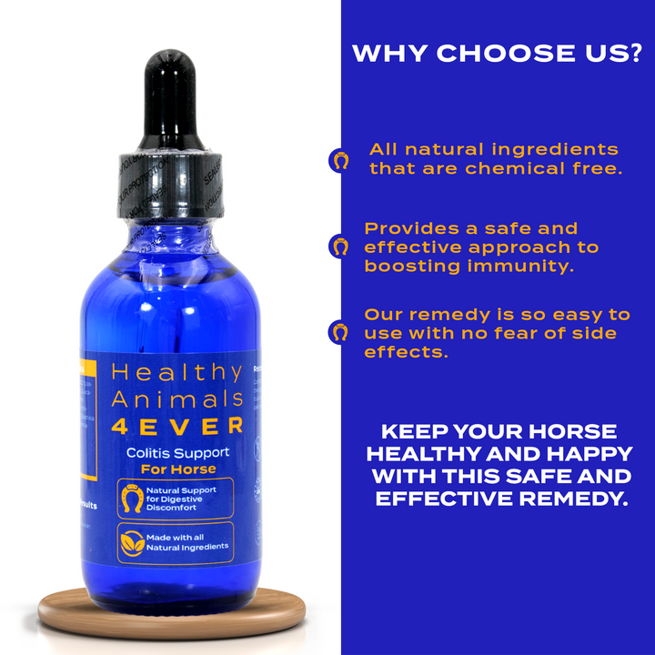 HORSE COLITIS SUPPORT (Liquid)