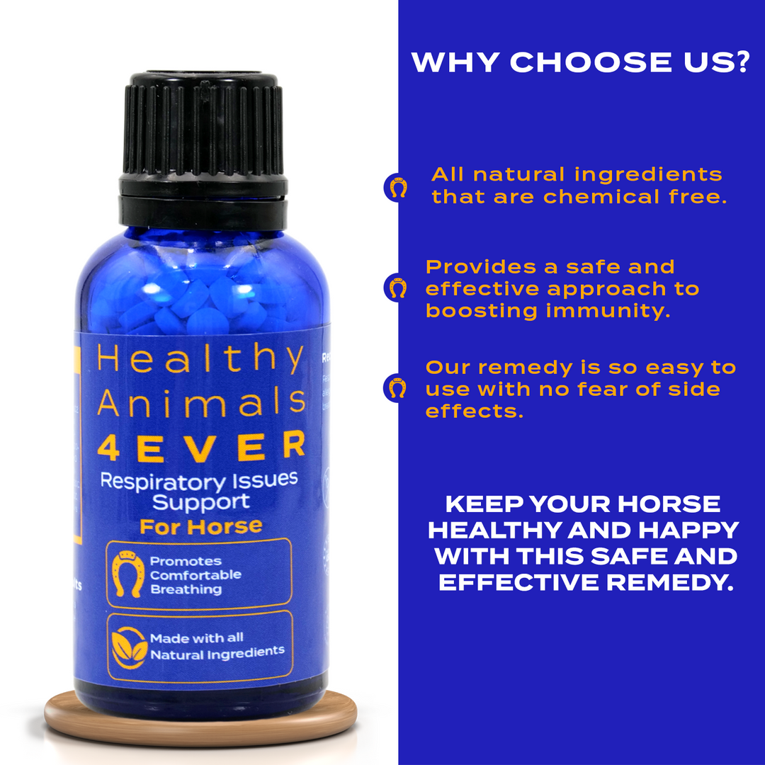 HORSE RESPIRATORY ISSUES SUPPORT Triple Pack- Save 30%