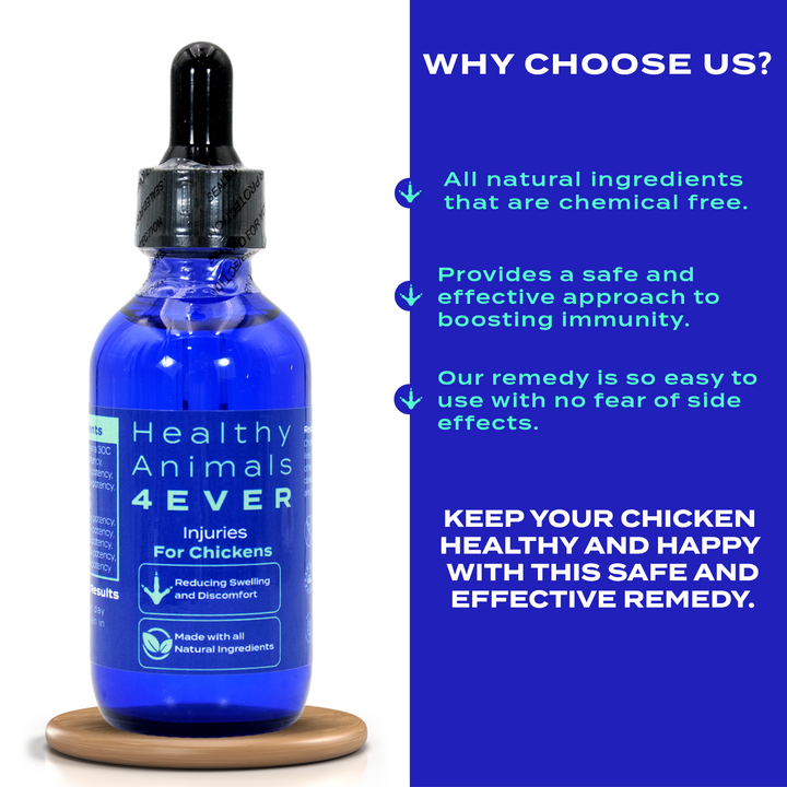 HEALTHYANIMALS4EVER ALL-NATURAL CHICKEN INJURY SUPPORT (Liquid)