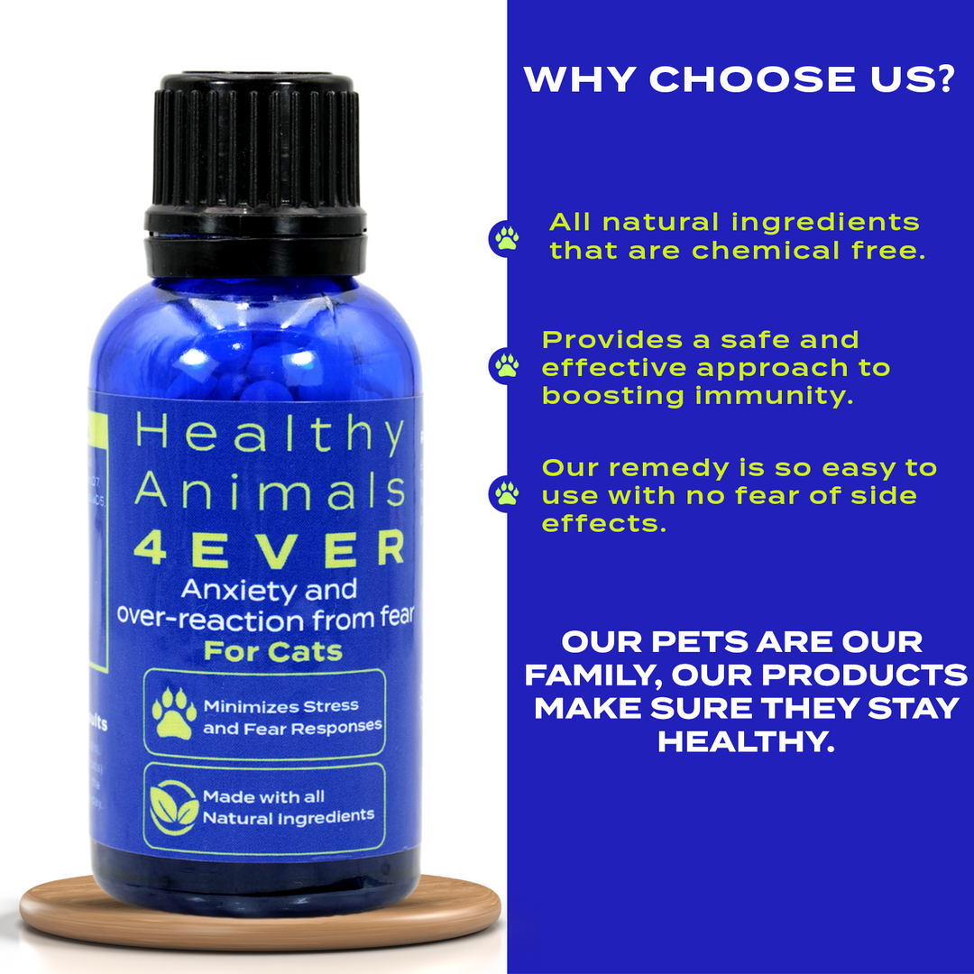 Anxiety and Over-Reaction from Fear Formula for Cats Triple Pack- Save 30%