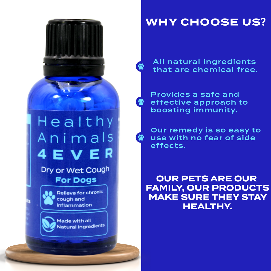 Dry or Wet Cough Formula for Dogs, 300 Tablets, 30-Day Supply