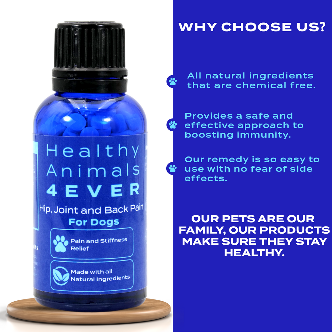 Hip, Joint and Back Pain Relief - Dogs