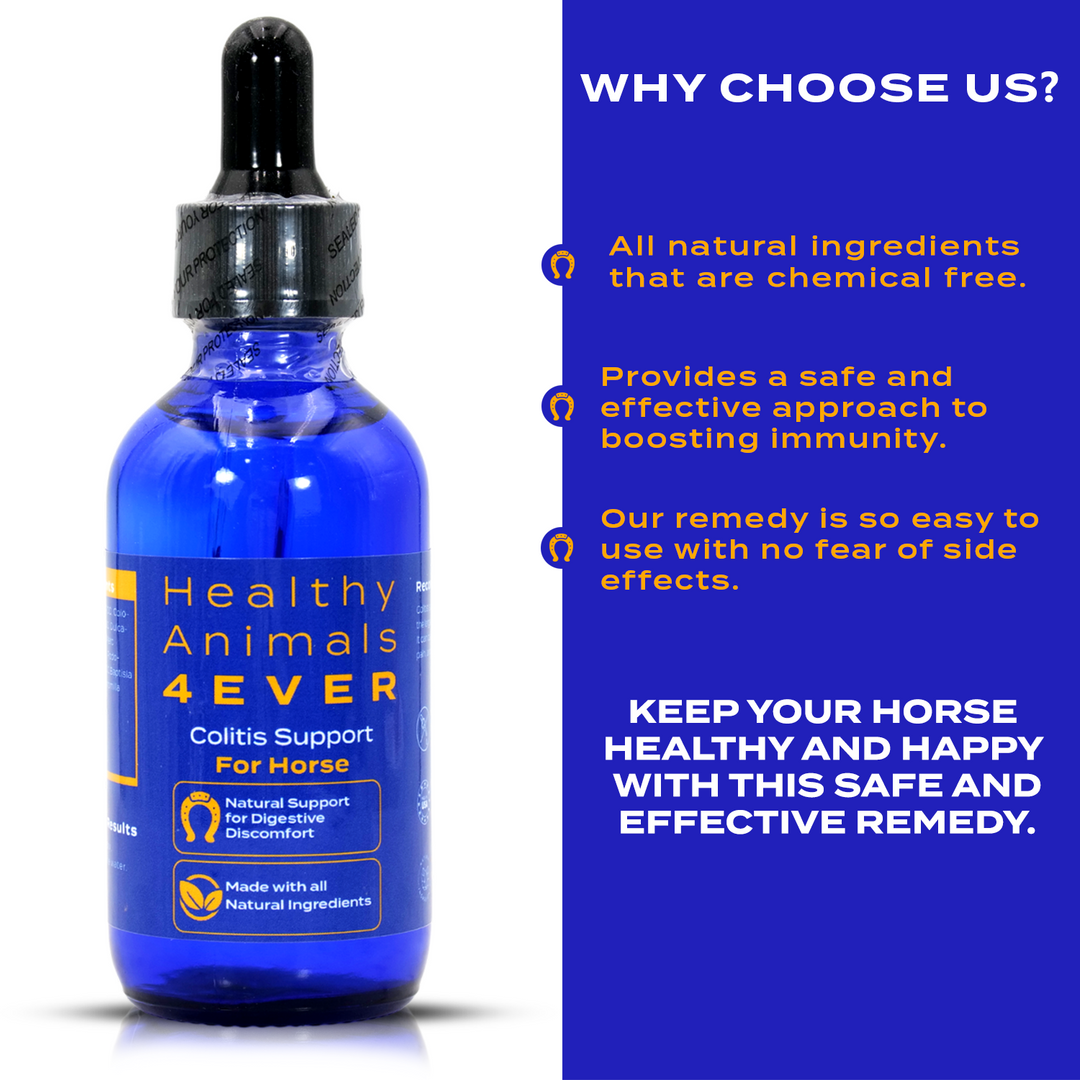 HORSE COLITIS SUPPORT (Liquid)