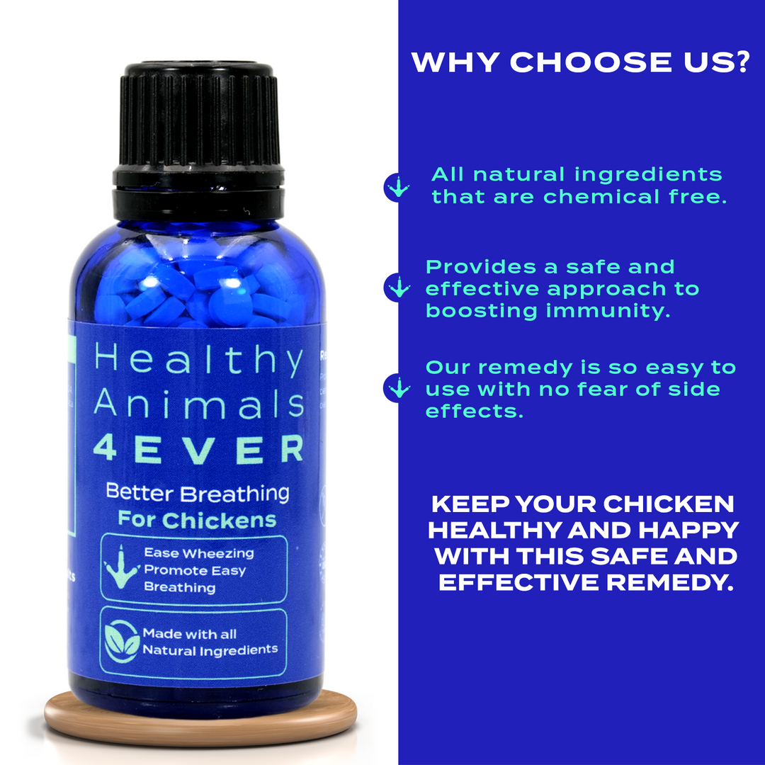 HEALTHYANIMALS4EVER ALL-NATURAL CHICKEN RESPIRATORY SUPPORT Six Pack- Save 50%