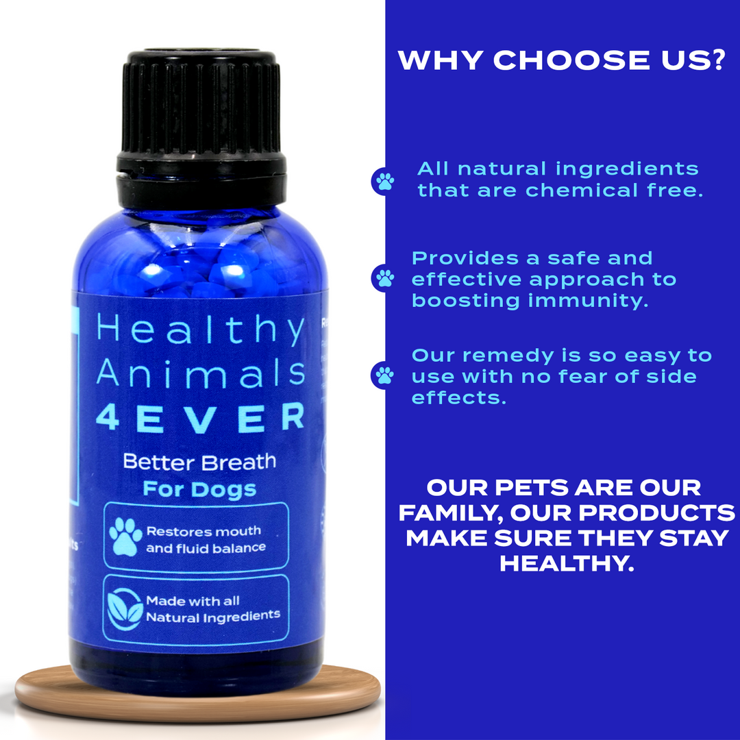 Better Breath - Dogs  Triple Pack- Save 30%