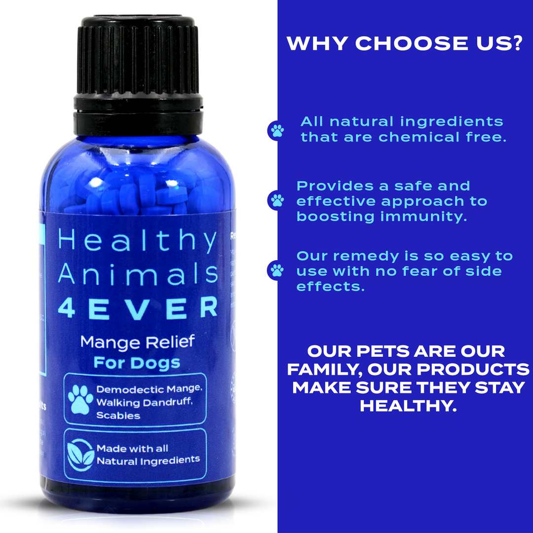 Mange Relief for Dogs - Treatment for Itchiness, Scabs, & Hair Loss Caused by Mites