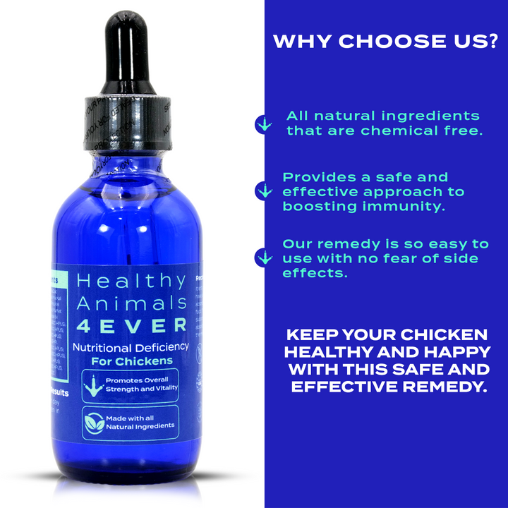 HEALTHYANIMALS4EVER ALL-NATURAL CHICKEN NUTRITIONAL DEFICIENCY SUPPLEMENT (Liquid) Six Pack- Save 50%