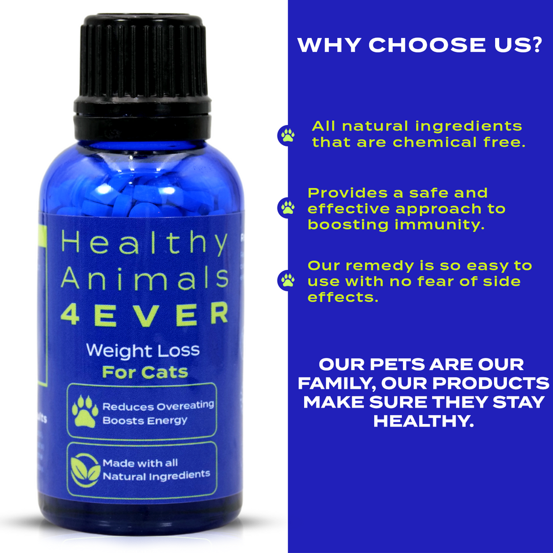 Weight Loss Formula for Cats,  Triple Pack- Save 30%