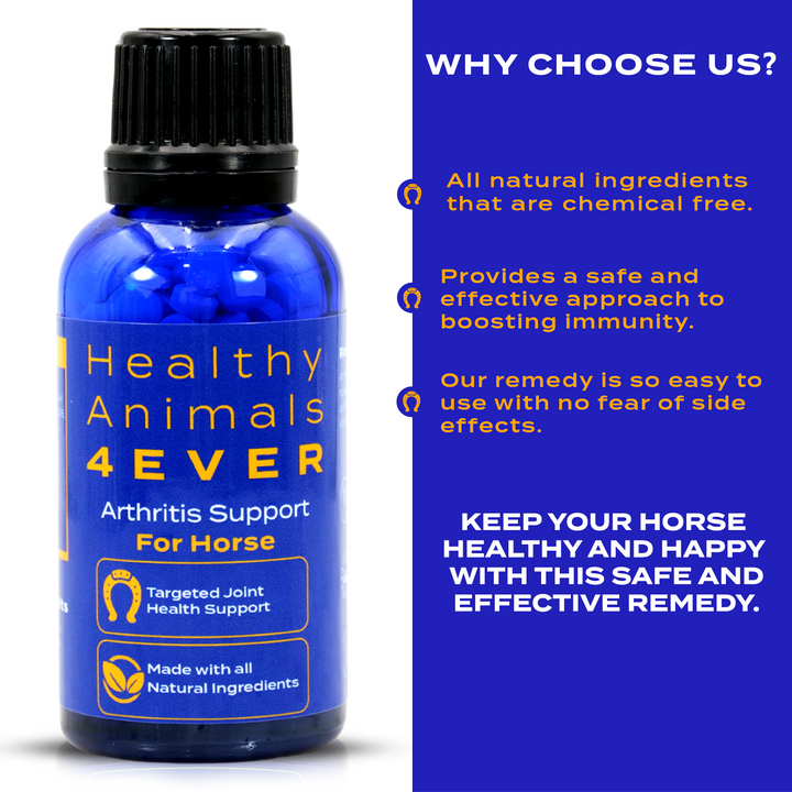 HORSE ARTHRITIS SUPPORT