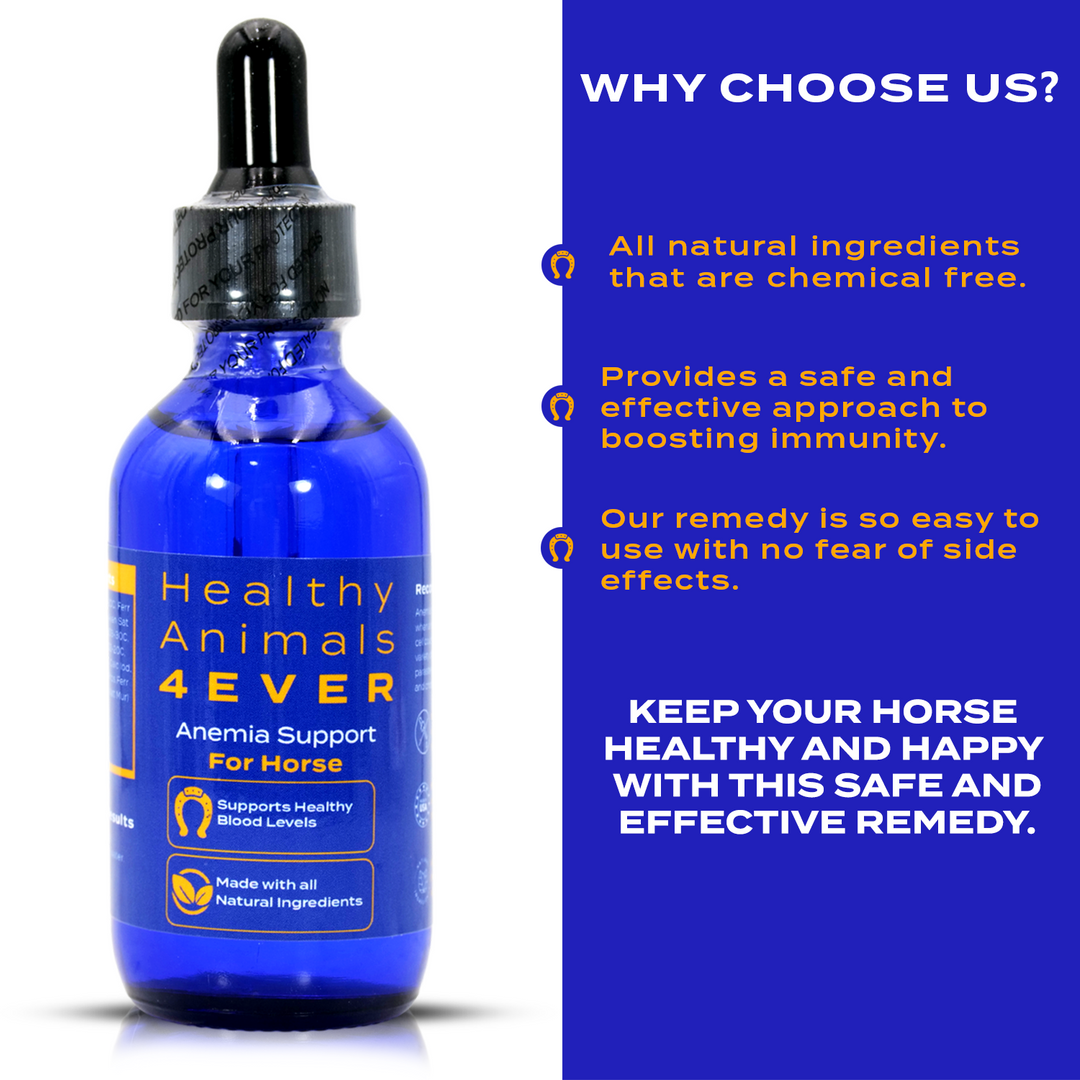 HORSE ANEMIA SUPPORT (Liquid)