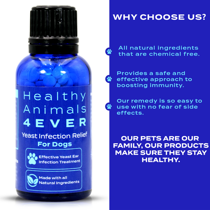 Yeast Infection Relief for Dogs