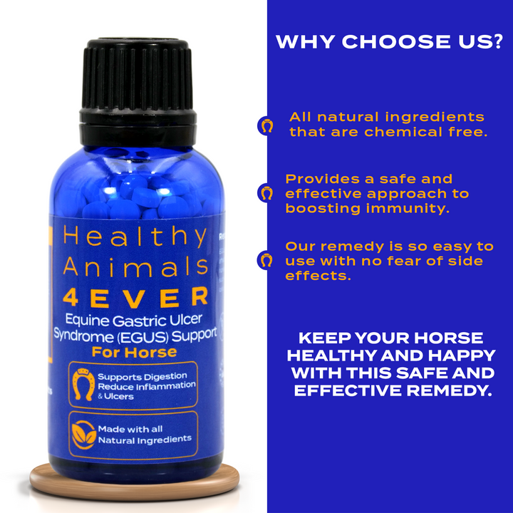 HORSE EQUINE GASTRIC ULCER SYNDROME SUPPORT