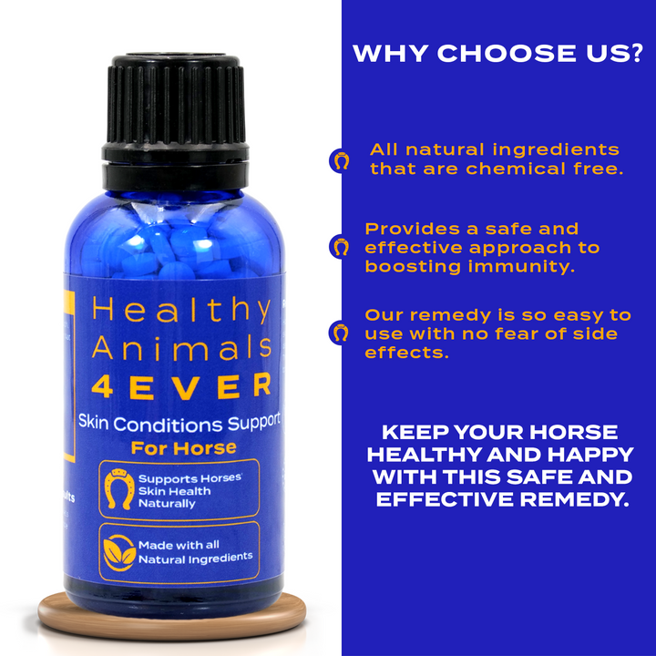 HORSE SKIN CONDITIONS SUPPORT Six Pack- Save 50%