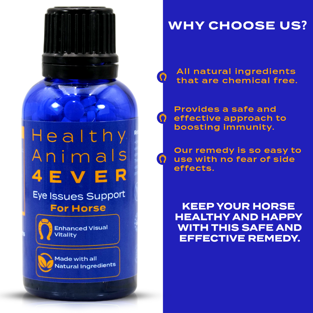 HORSE EYE HEALTH SUPPORT