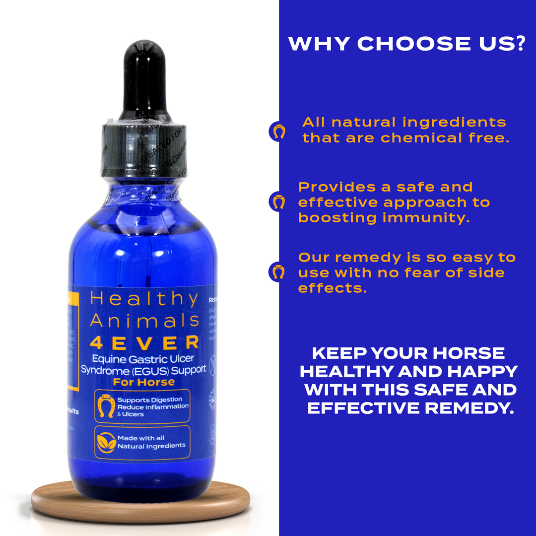 HORSE EQUINE GASTRIC ULCER SYNDROME SUPPORT (Liquid) Triple Pack- Save 30%