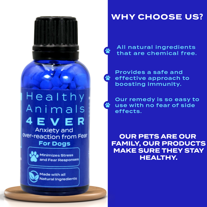 Anxiety and Over-Reaction from Fear Formula for Dogs, Six Pack- Save 50%