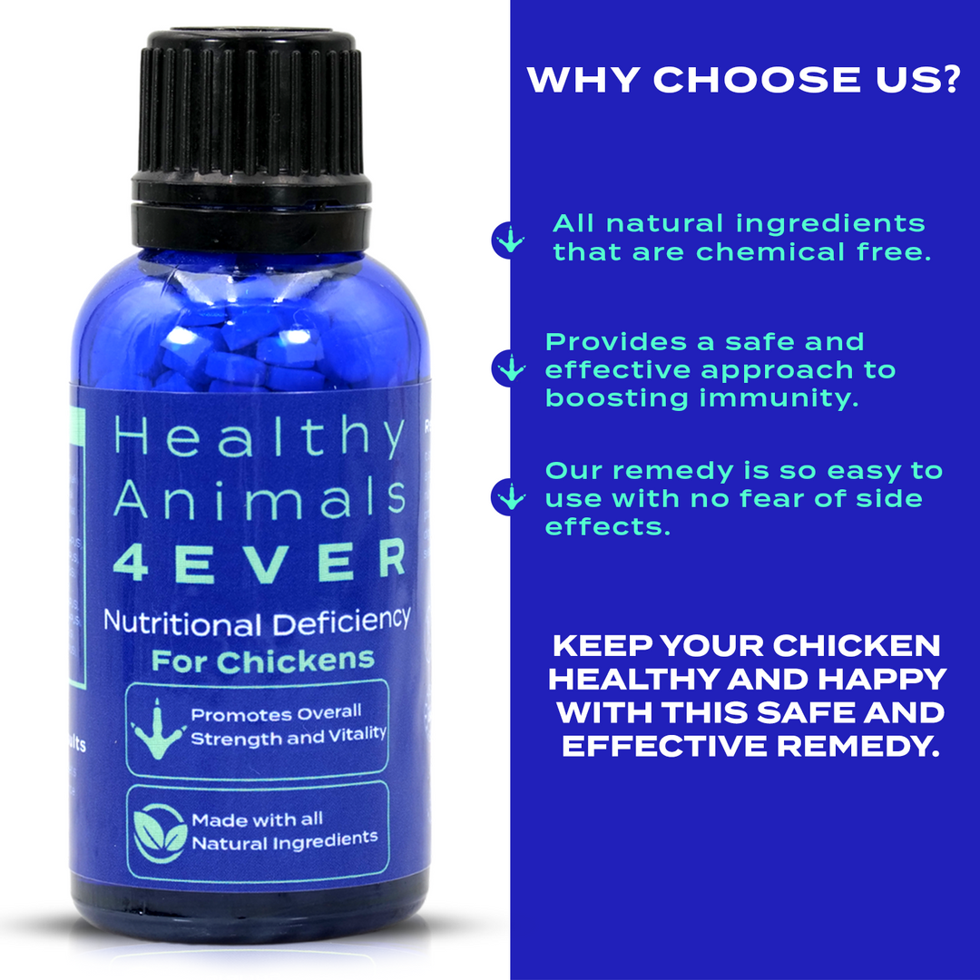 HEALTHYANIMALS4EVER ALL-NATURAL CHICKEN NUTRITIONAL DEFICIENCY SUPPLEMENT