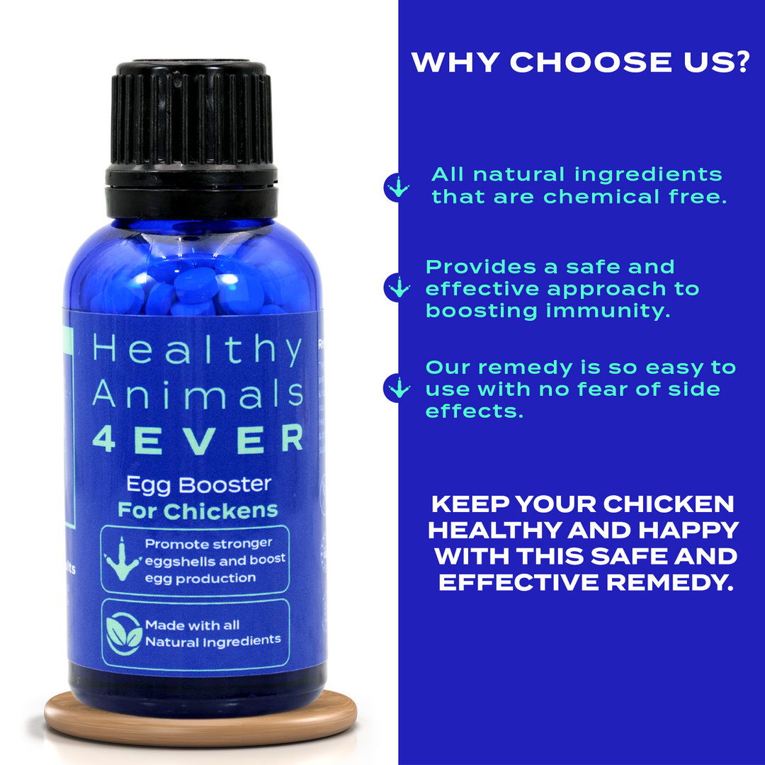 HEALTHYANIMALS4EVER ALL-NATURAL CHICKEN EGG BOOSTER Triple Pack- Save 30%