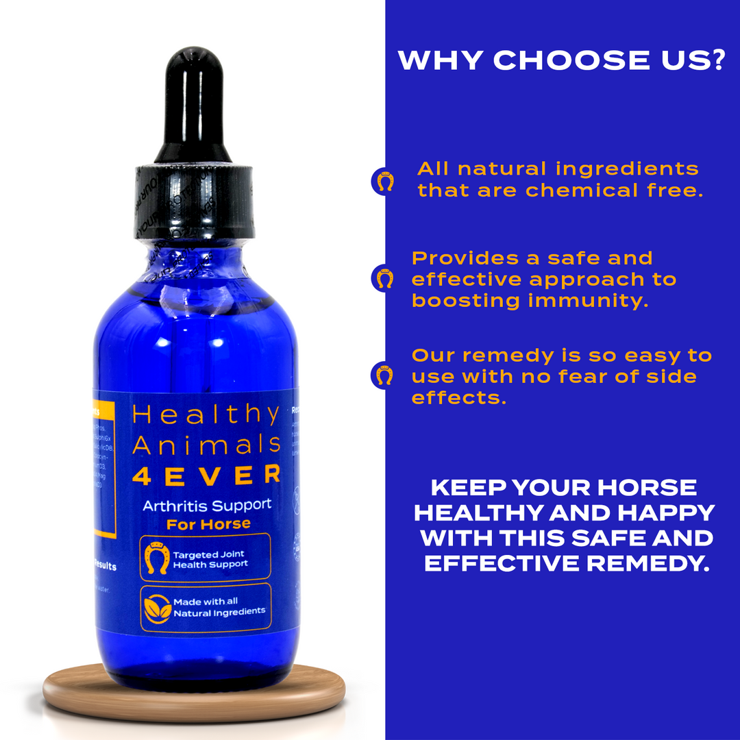 HORSE ARTHRITIS SUPPORT(Liquid)