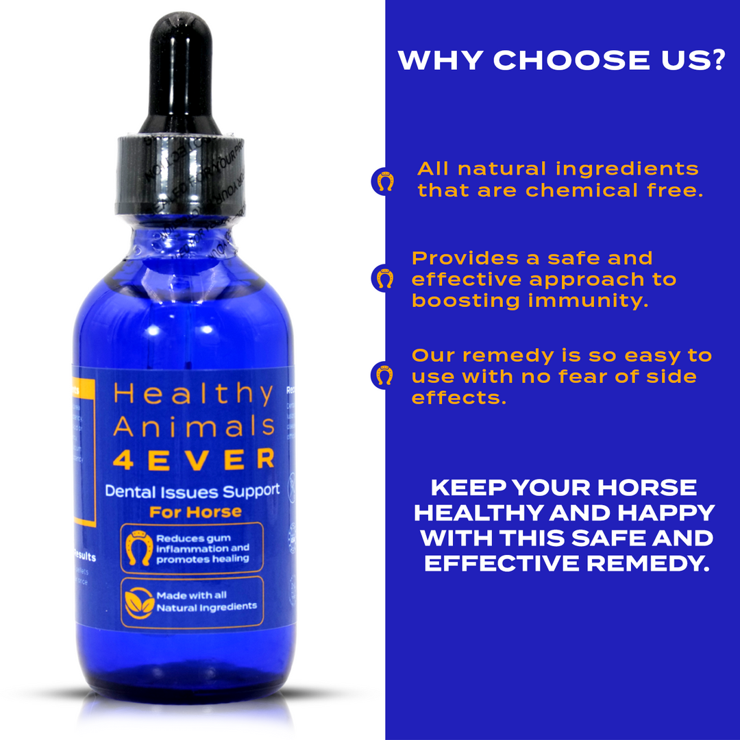 Horse Dental Issues Support (Liquid)