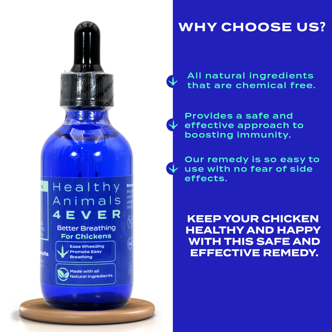 HEALTHYANIMALS4EVER ALL-NATURAL CHICKEN RESPIRATORY SUPPORT(Liquid)