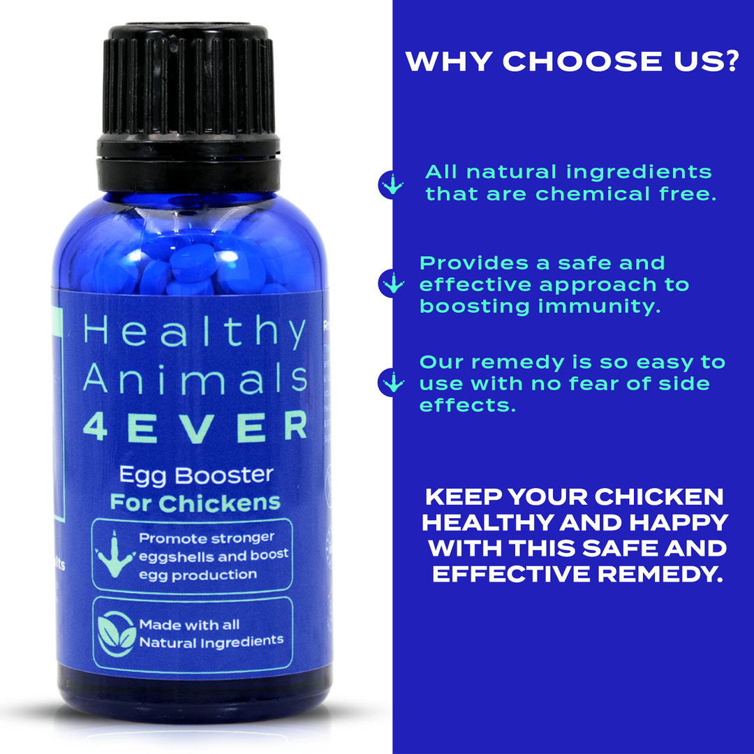 HEALTHYANIMALS4EVER ALL-NATURAL CHICKEN EGG BOOSTER