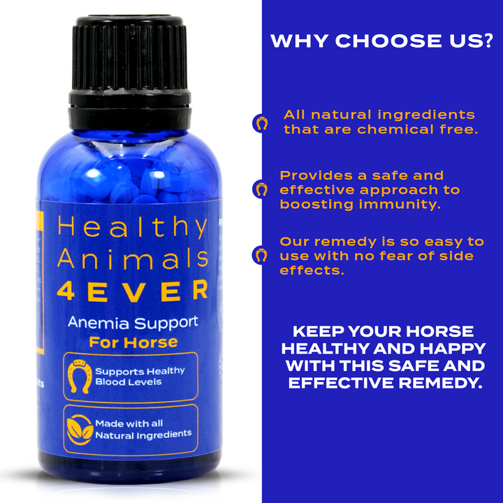 HORSE ANEMIA SUPPORT