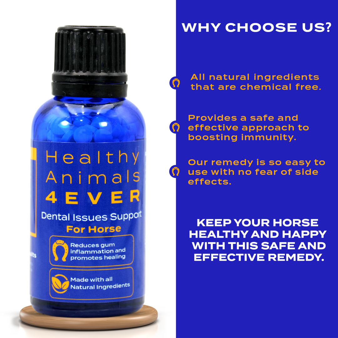 Horse Dental Issues Support Triple Pack- Save 30%