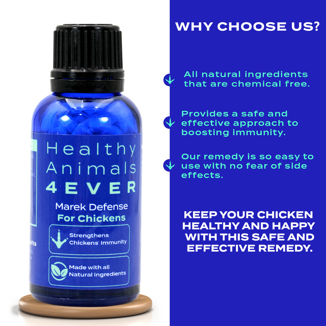 HEALTHYANIMALS4EVER ALL-NATURAL CHICKEN IMMUNITY SUPPORT FOR MAREK’S DISEASE Triple Pack- Save 30%