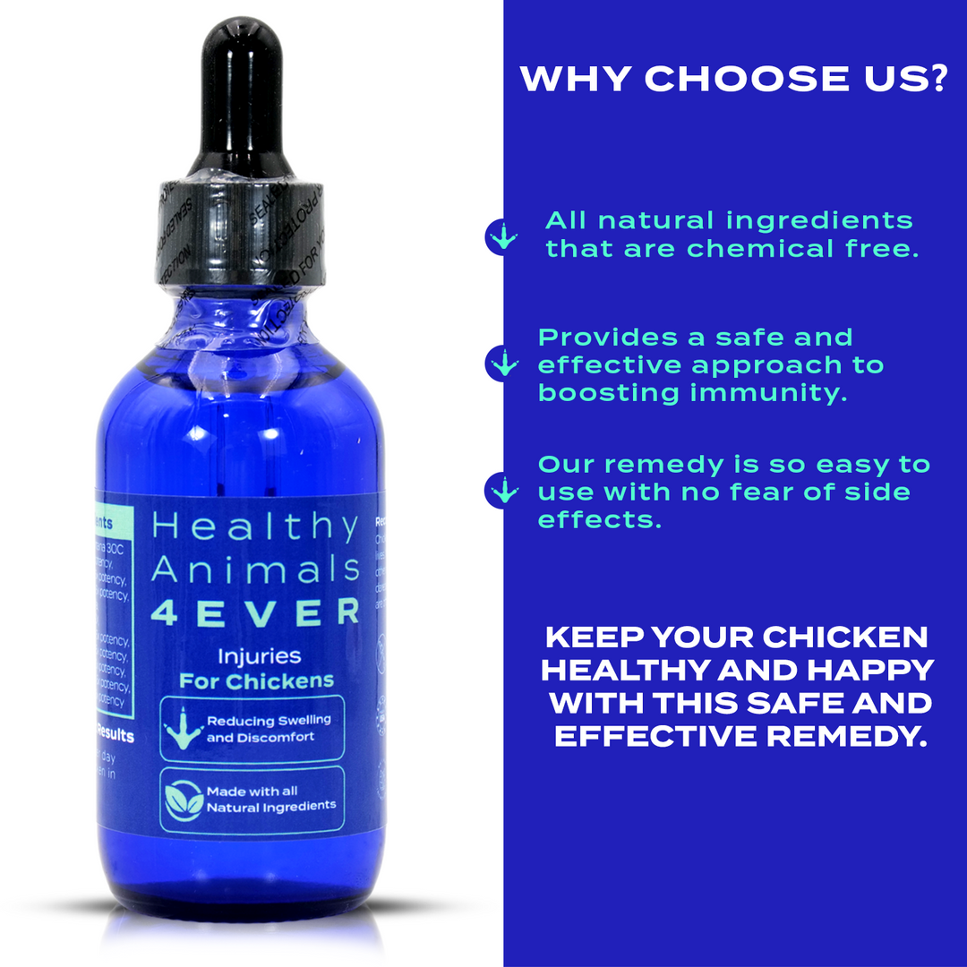 HEALTHYANIMALS4EVER ALL-NATURAL CHICKEN INJURY SUPPORT (Liquid)