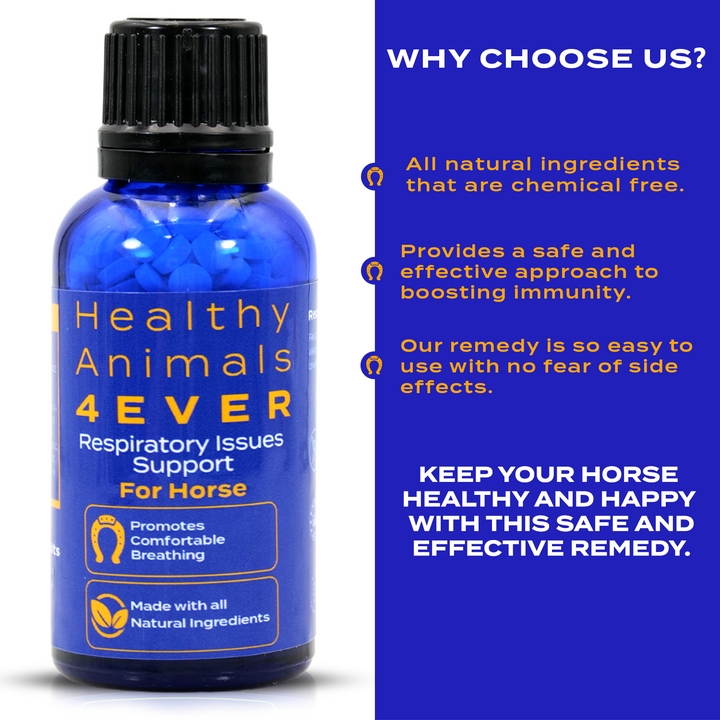 HORSE RESPIRATORY ISSUES SUPPORT